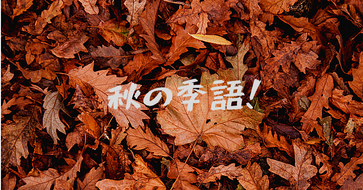 秋の季語 秋風 秋の風 金風 素風 色なき風 爽籟 セクト ポクリット