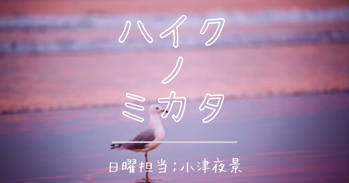 止まり木に鳥の一日ヒヤシンス 津川絵理子 季語 ヒヤシンス 春 セクト ポクリット