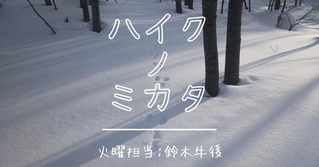 人の世に雪降る音の加はりし 伊藤玉枝 季語 雪 冬 セクト ポクリット