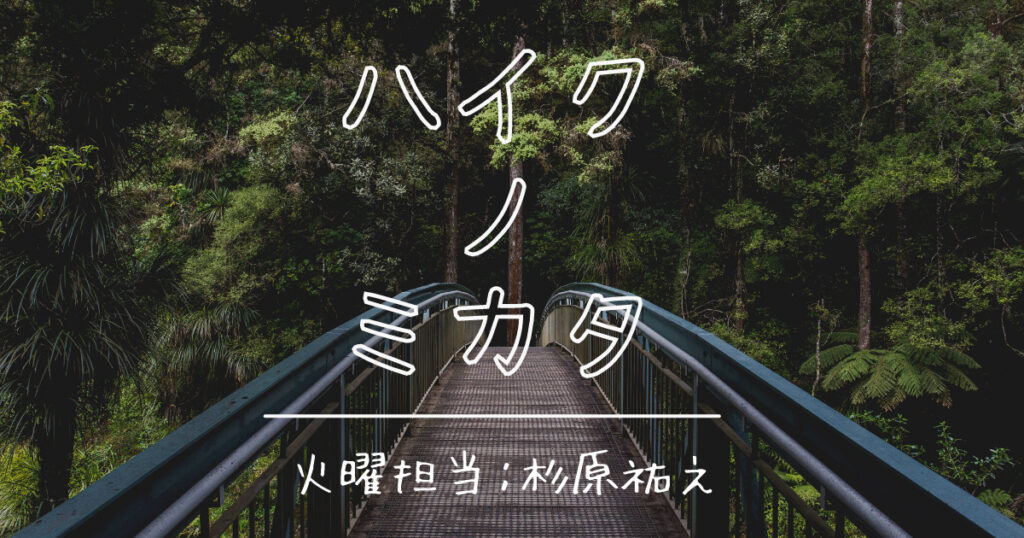 いちまいの水田になりて暮れのこり 長谷川素逝 季語 水田 夏 セクト ポクリット