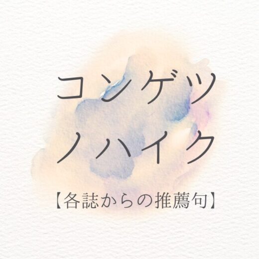 楽見え楽出し秒財布 2つ折り財布（財布） | Ober Tashe